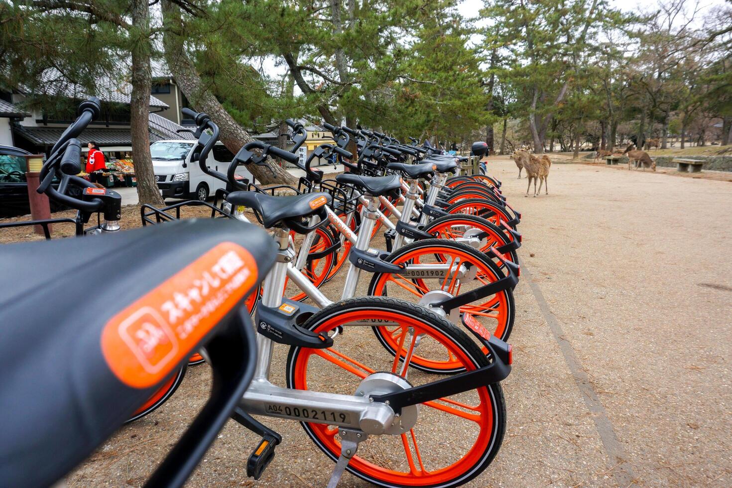 Nara City, Japan, 2023 -  Japan public travel bikes of Docomo company parked for tourists interested in borrowing to ride at Nara park, Rent by register for the IC card at Docomo store. photo