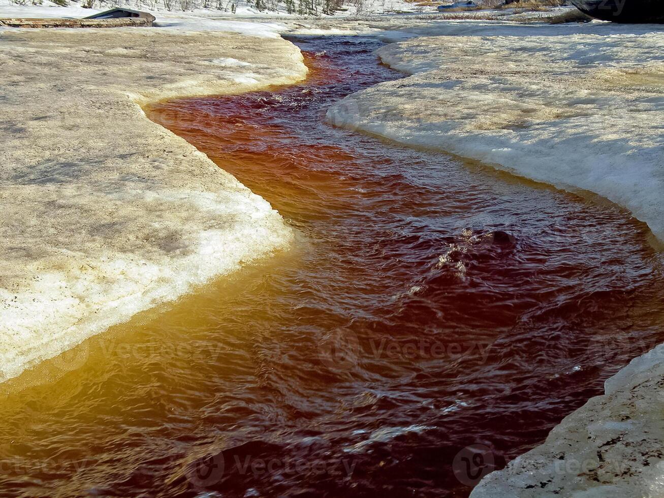 Melting snow in the spring. The spring heat will melt the snow. photo