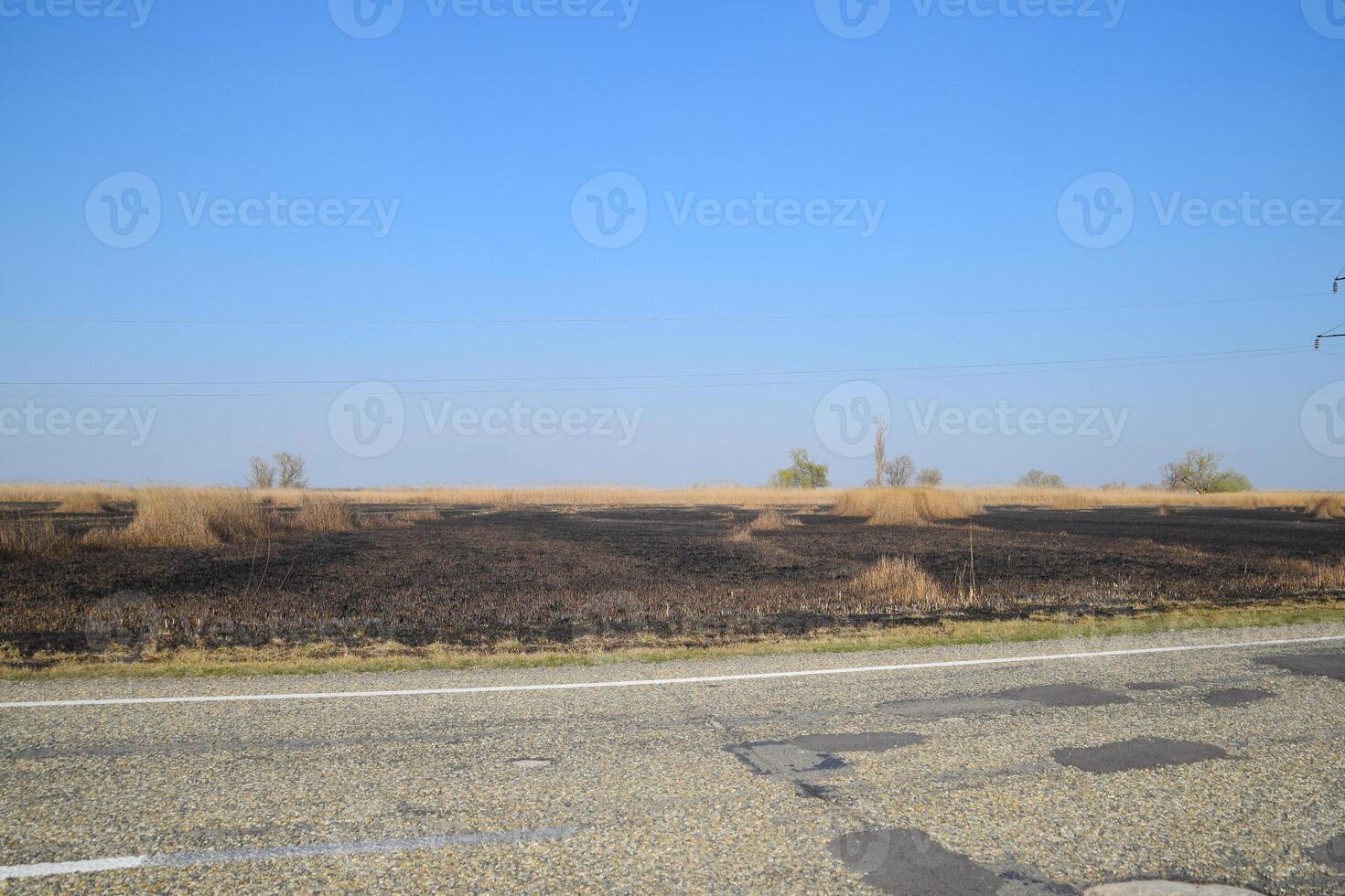 Burned grass along the route photo