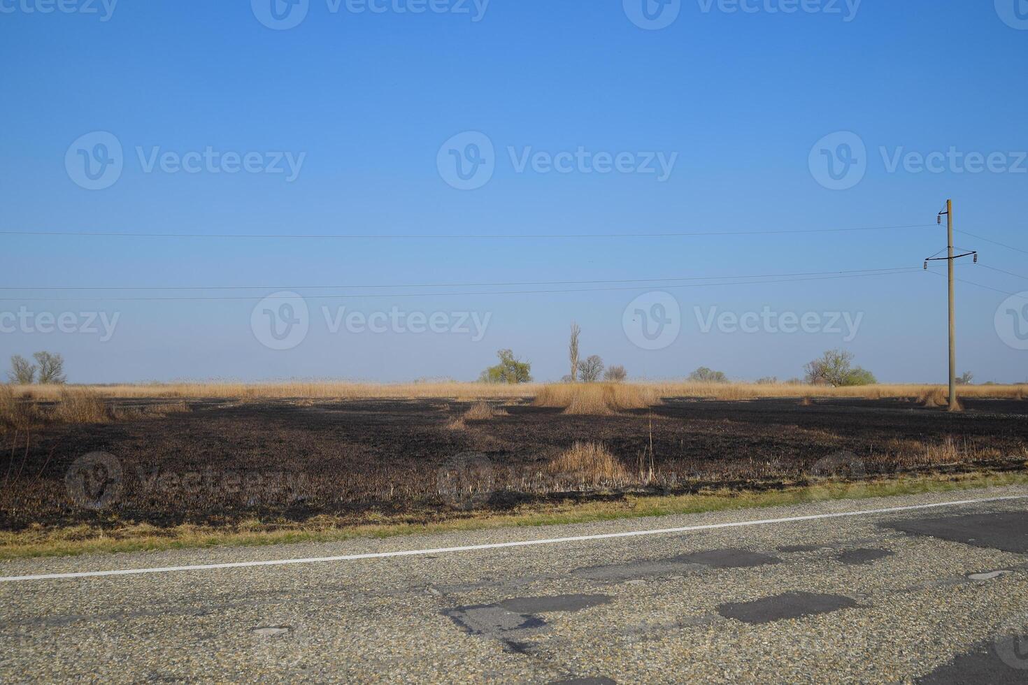 Burned grass along the route photo