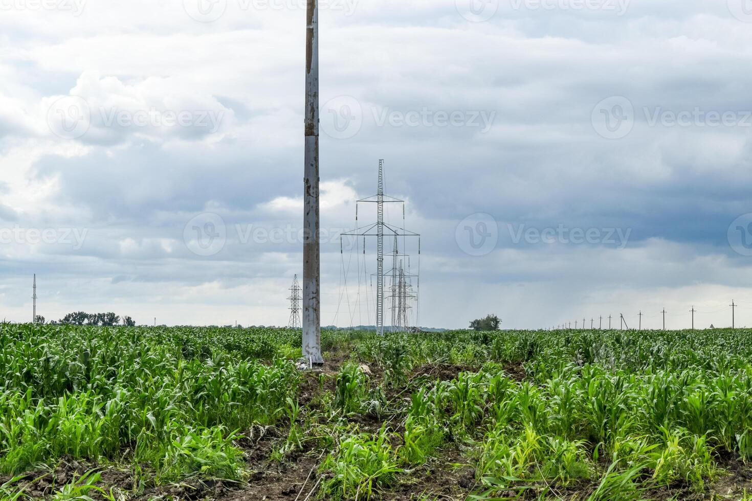Assembly and installation of new support of a power line photo