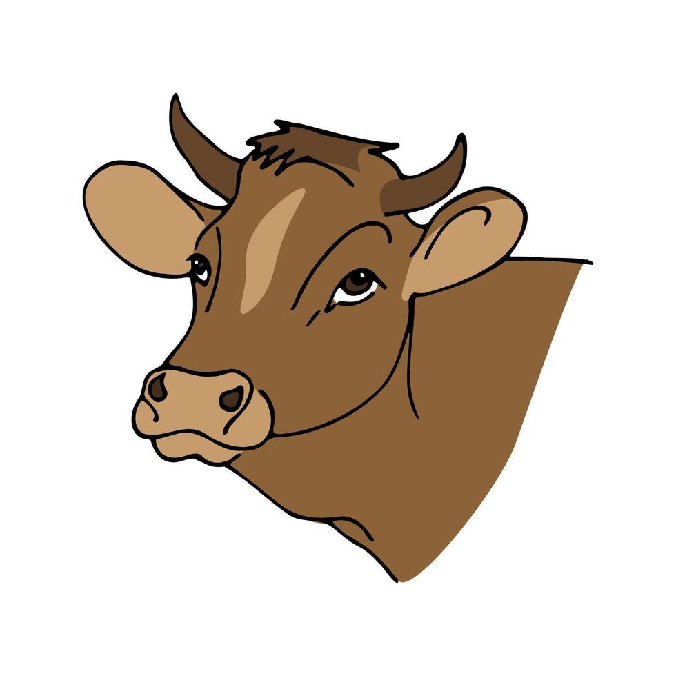 vector color illustration, portrait of a cow on a white background. brown cow with horns.