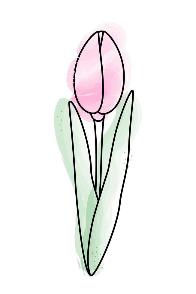 Stylized tulip in watercolor manner in trendy soft shades. Design element for springtime greetings vector
