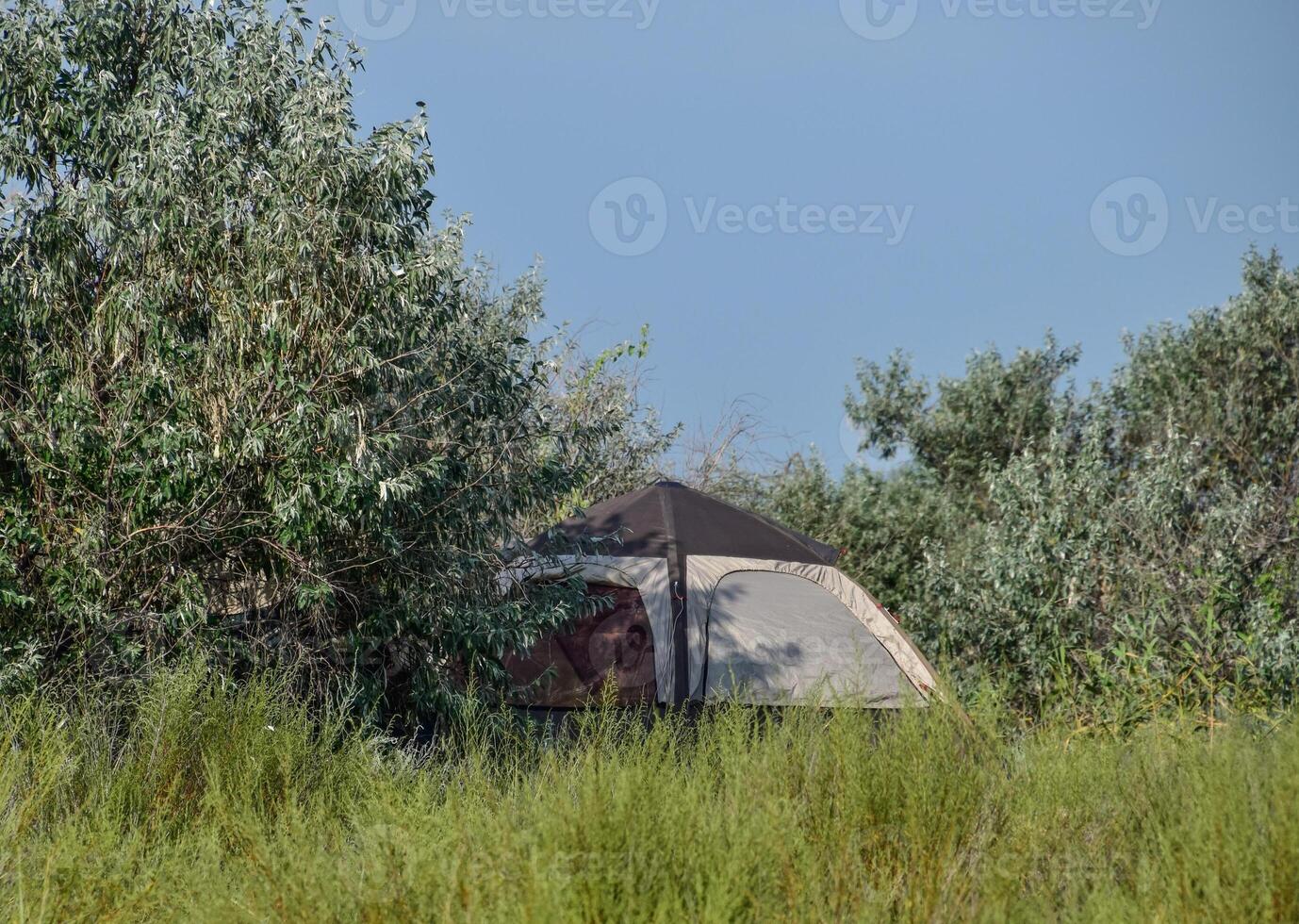 Tourist tent under a tree. Tourist Camping. Multi-Tent photo