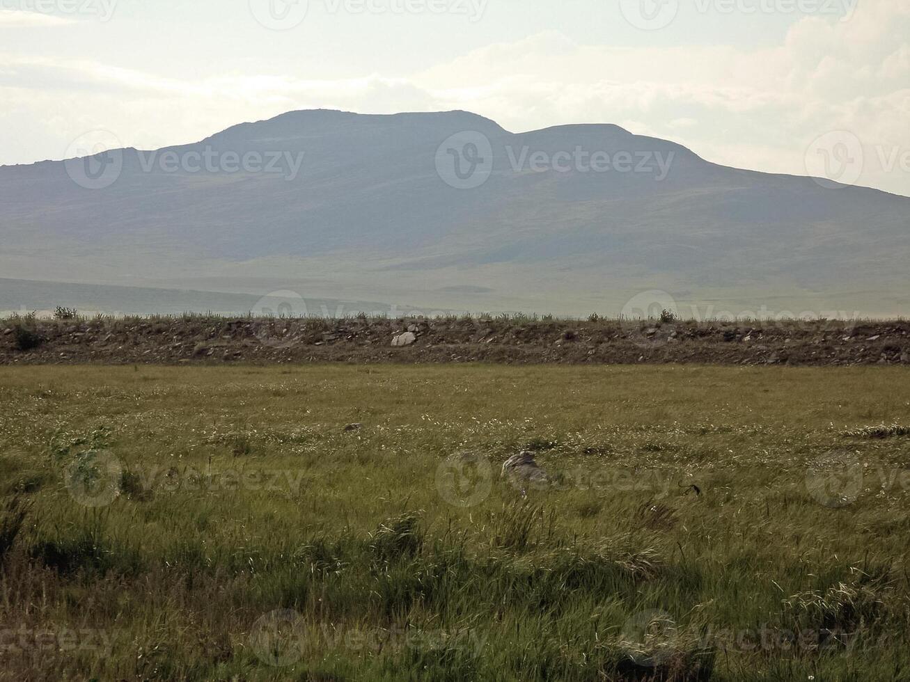 paisaje de el tundra en verano. verano tundra en el yamal Educación física foto