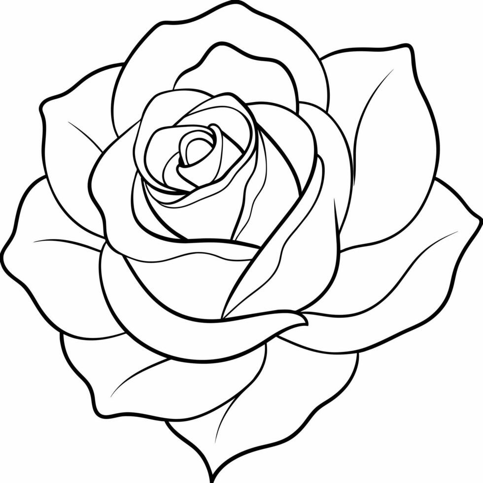rose black and white vector illustration for coloring book
