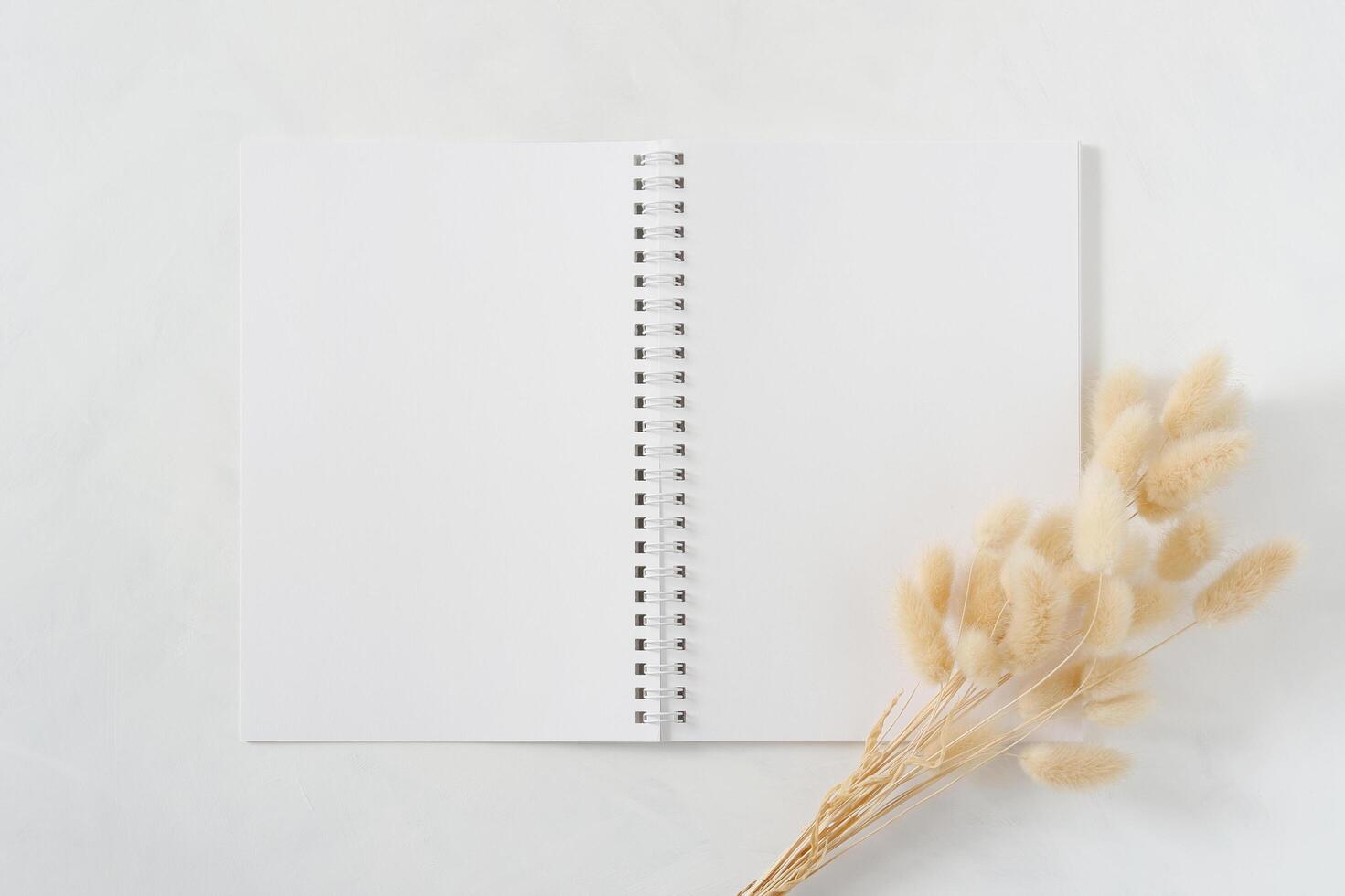 Blank white spiral notebook with natural dried bunny tail grass bouquet on white background. Top view image. Feminine styled stock photography for blog posts and social media content. photo