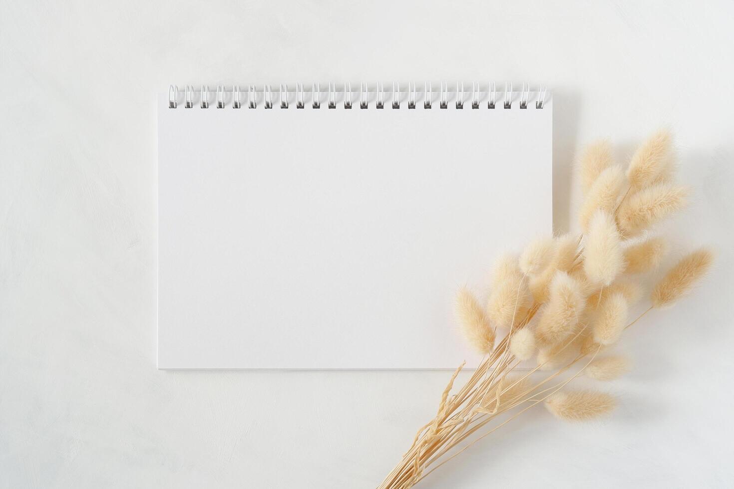 Blank white spiral notebook with natural dried bunny tail grass bouquet on white background. Top view image. Feminine styled stock photography for blog posts and social media content. photo