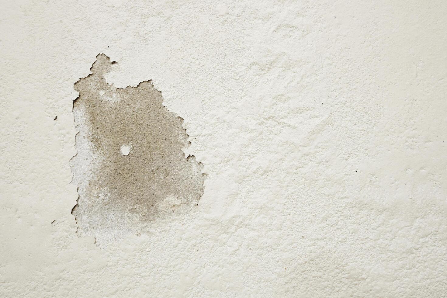 White cement wall with peeling paint caused by rising damp photo