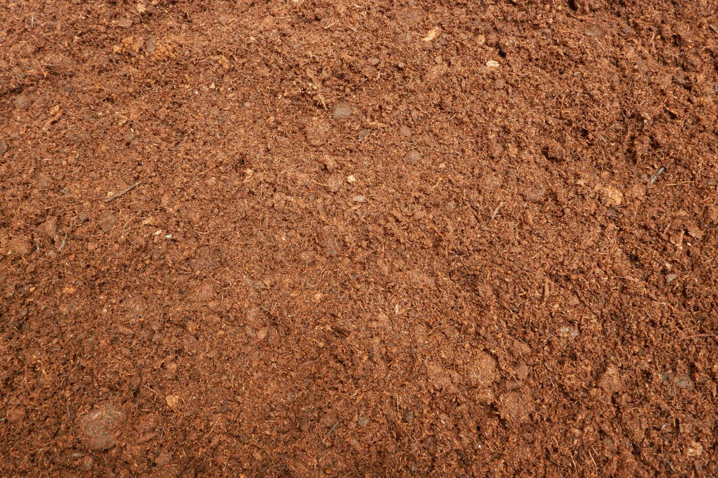 Peat Moss Soil Background photo