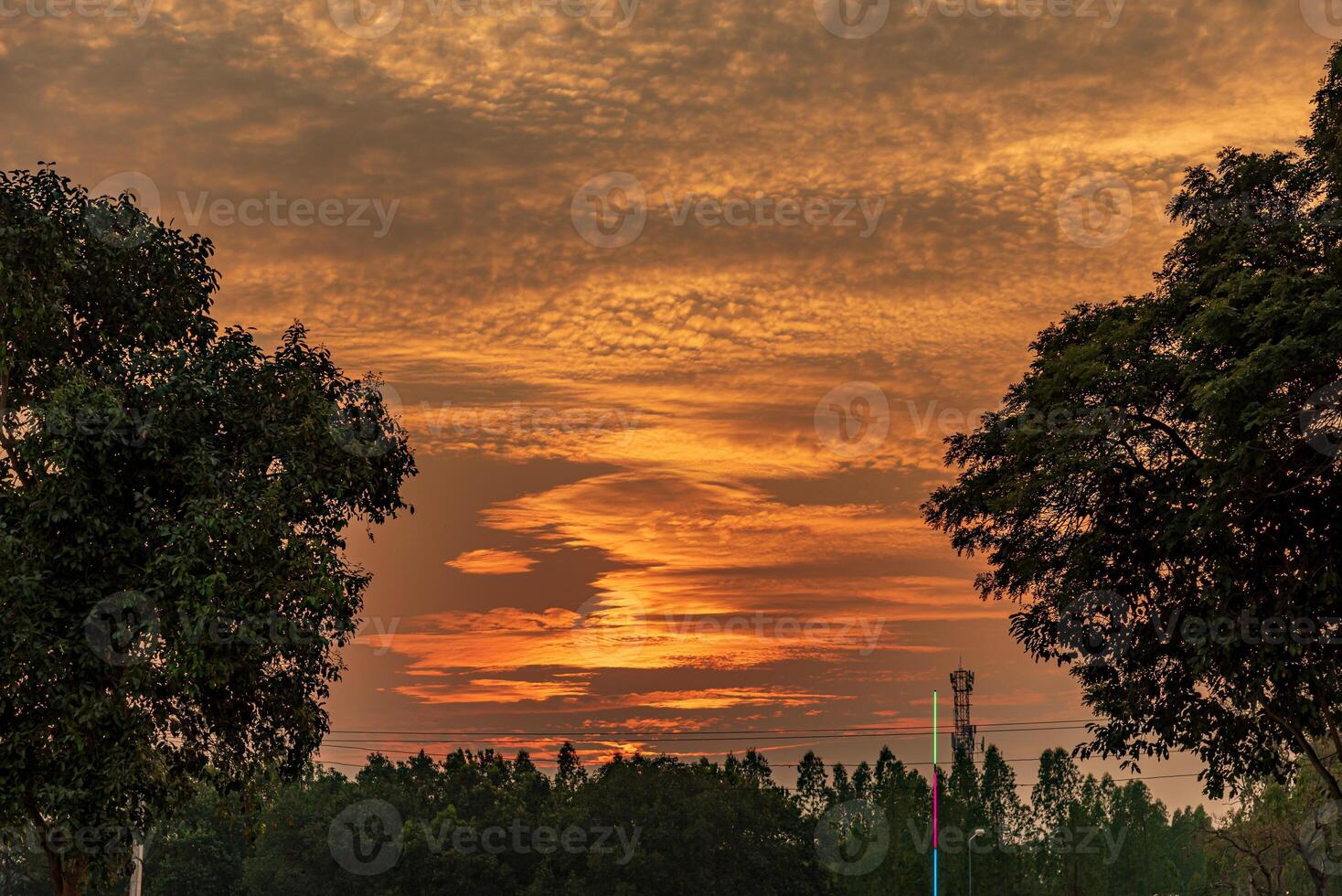 beautiful sunset on the field photo
