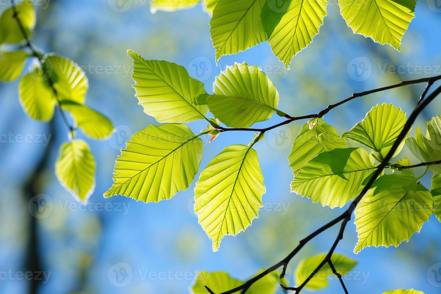 AI generated green leaves on the blue sky background. nature green wood sunlight backgrounds photo