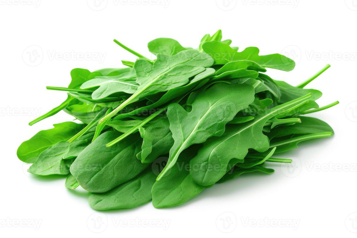 AI generated Arugula isolated kitchen table professional advertising food photography photo