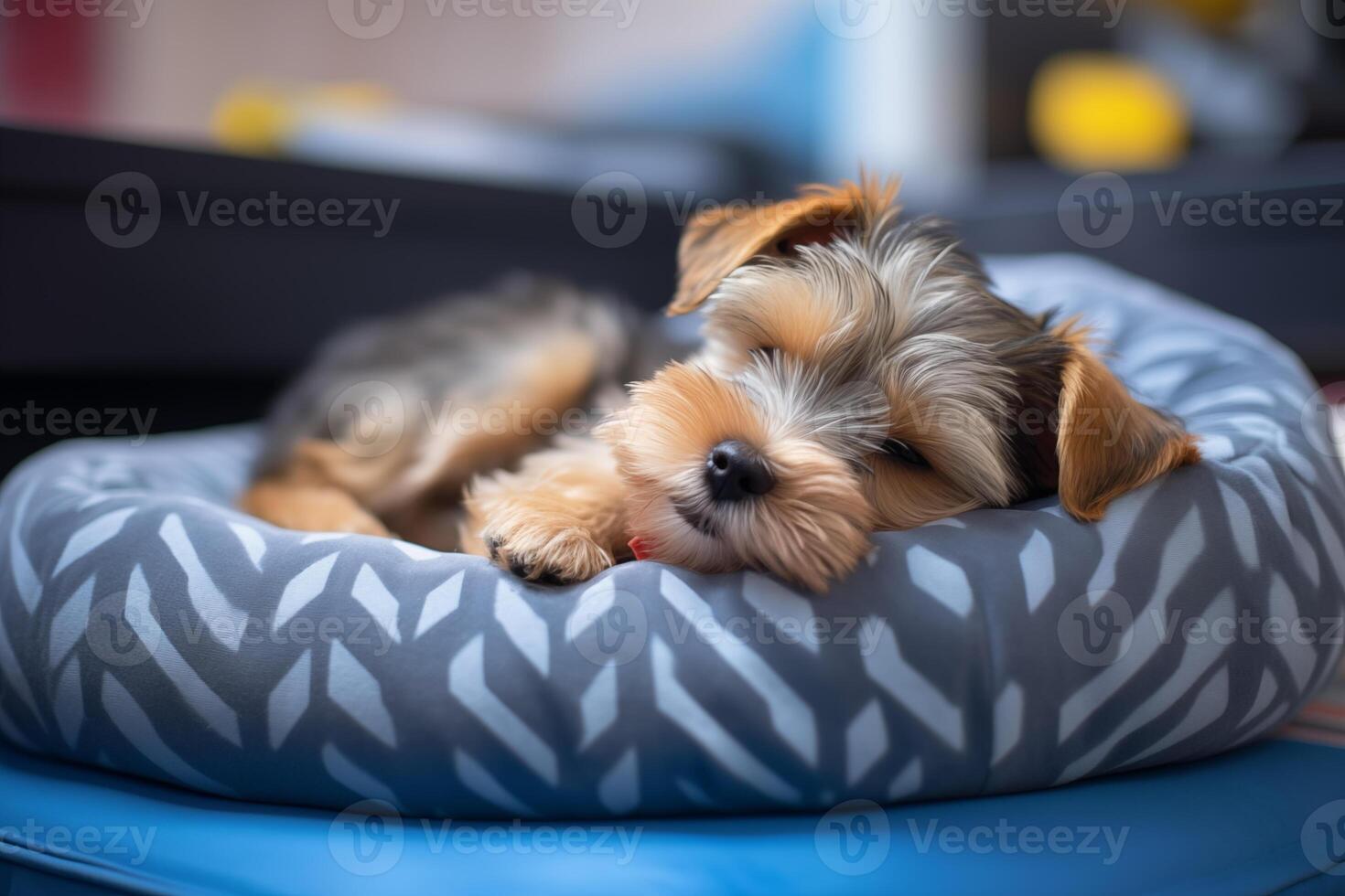 AI generated Cute small terrier dog resting on pet bed at home photo