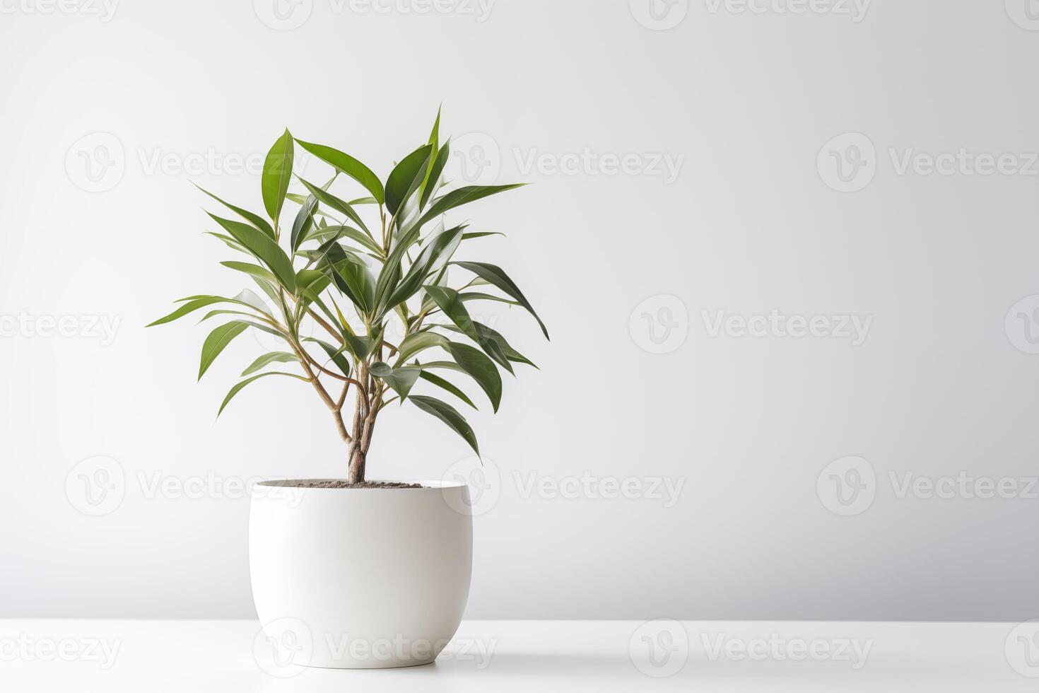 AI generated Indoor plant in a pot on the white background. Space for text. photo