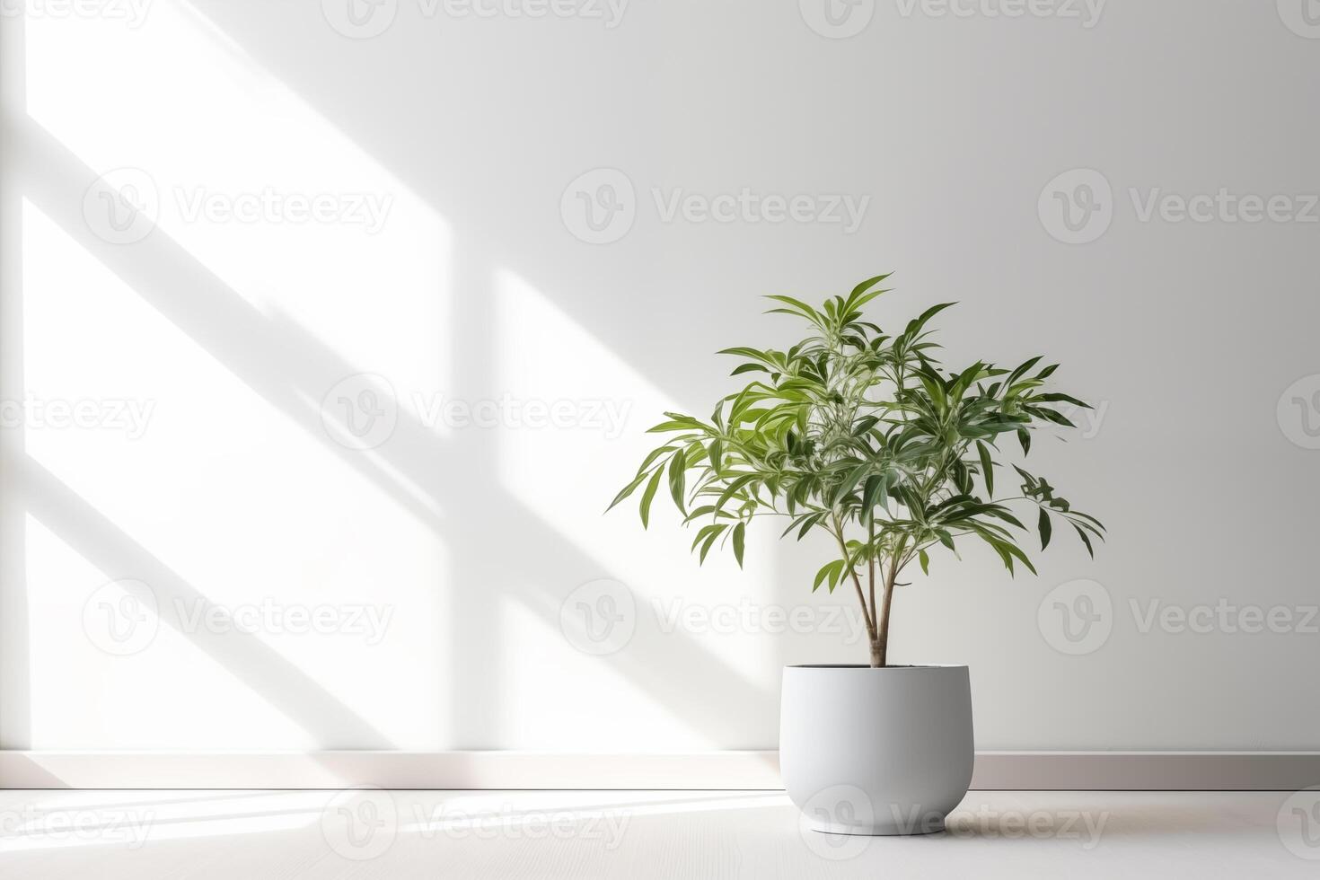 AI generated Indoor plant in a pot near the window on the white background. Space for text. photo