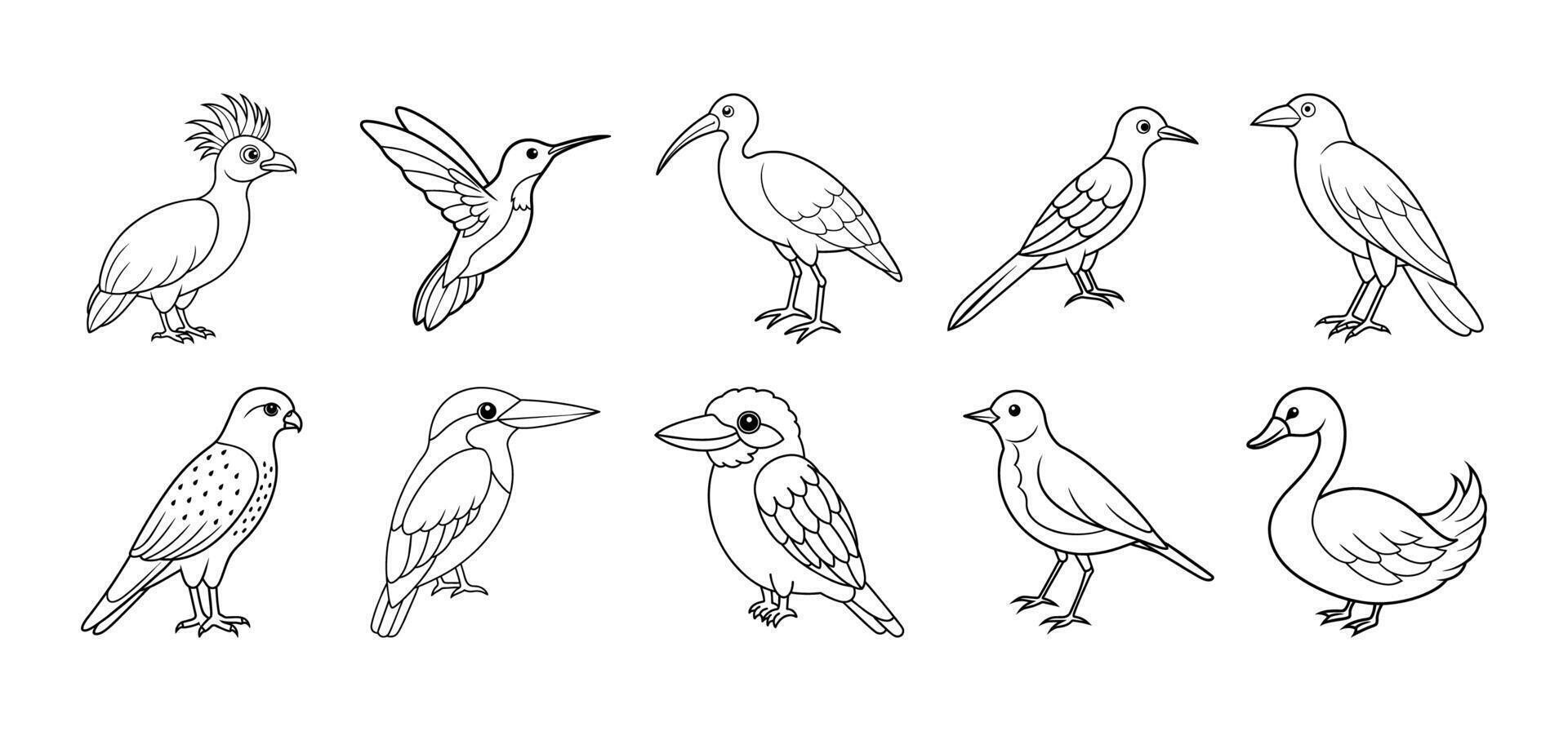 Collection of bird line art elements vector