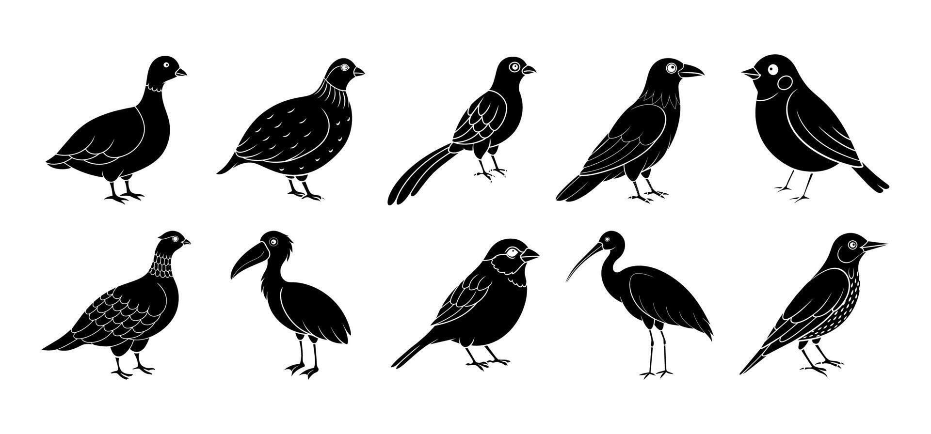 colección de pájaro silueta elementos vector