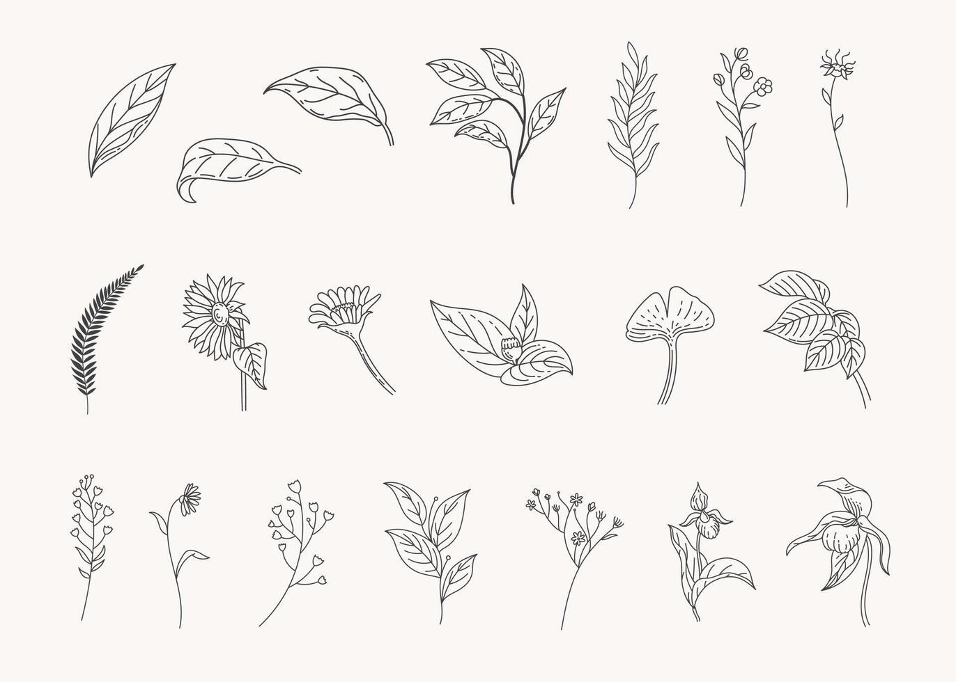 Set of botanical leaf doodle line art hand drawn floral decorative elements vector