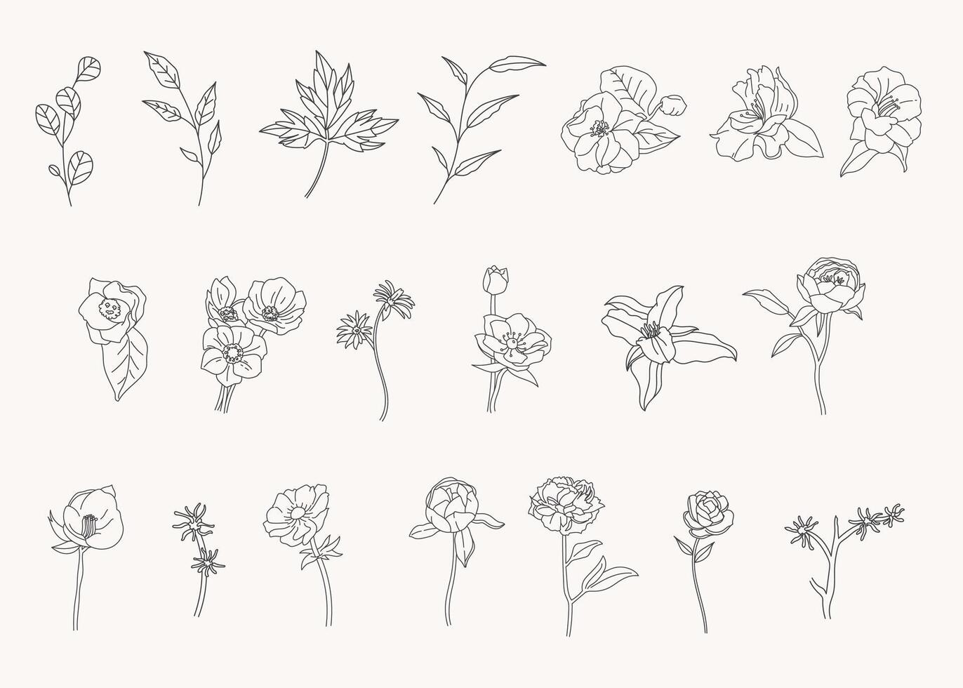 Set of botanical leaf doodle line art hand drawn floral decorative elements vector