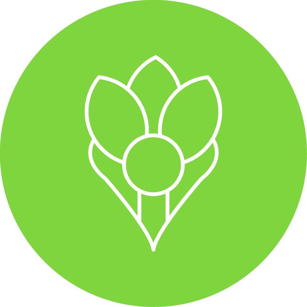 Crocus Line Circle color Icon vector