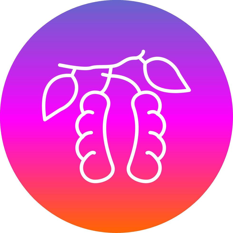 Tamarind Line Gradient Circle Icon vector