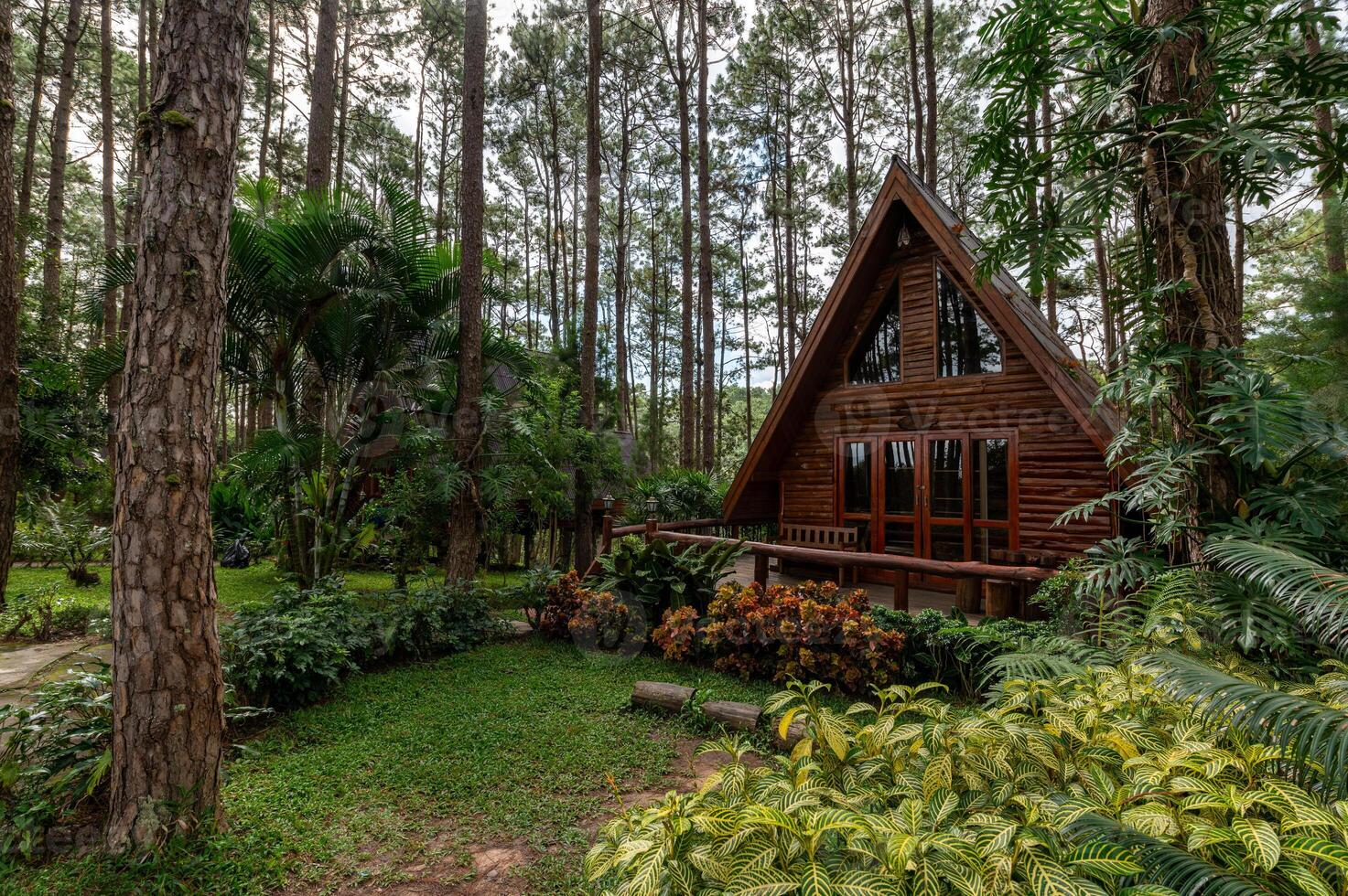 triangular casa construido desde madera en el bosque en el lluvioso temporada foto