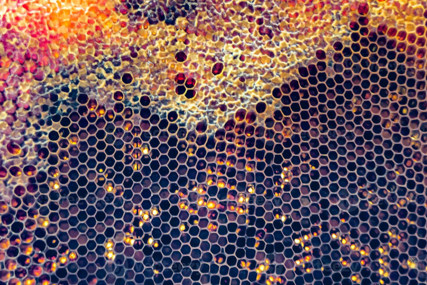 Drop of bee honey drip from hexagonal honeycombs filled with golden nectar photo