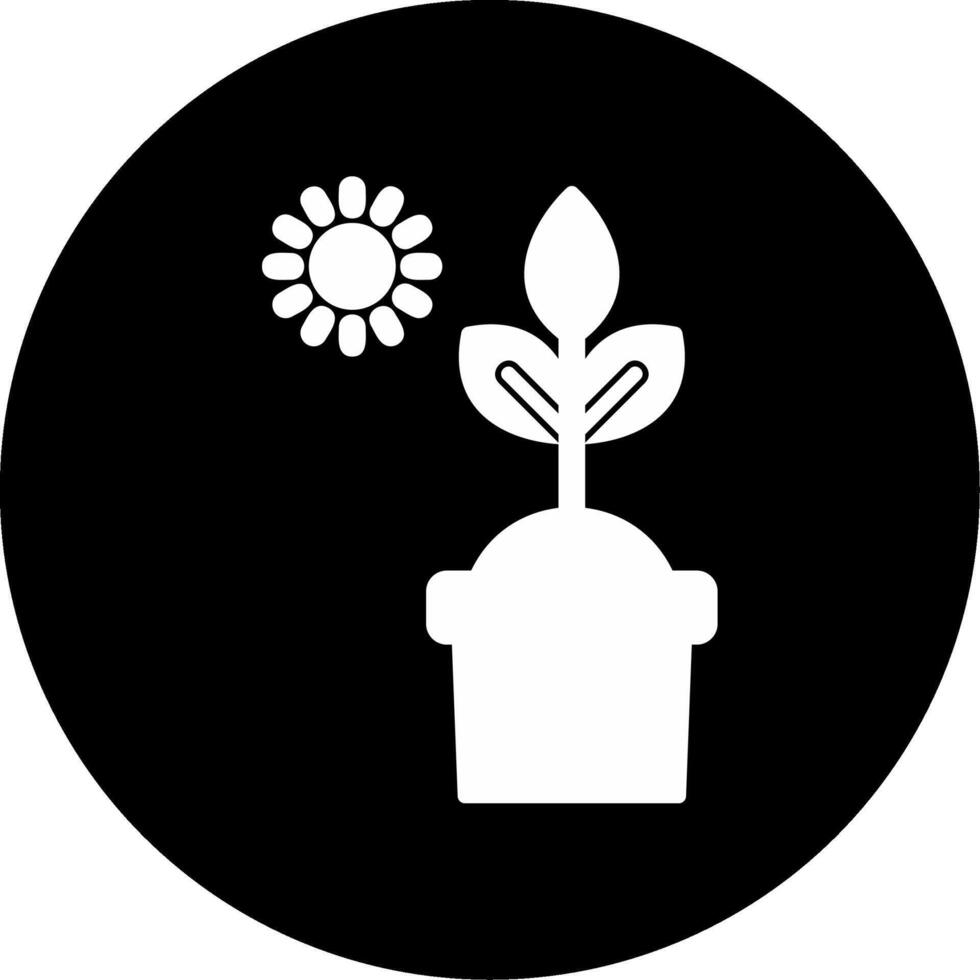 Photosynthesis Vector Icon