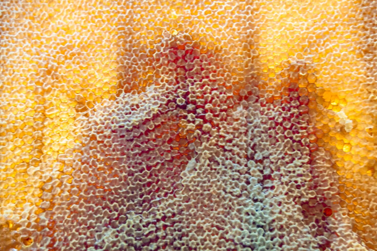 Drop of bee honey drip from hexagonal honeycombs filled with golden nectar photo