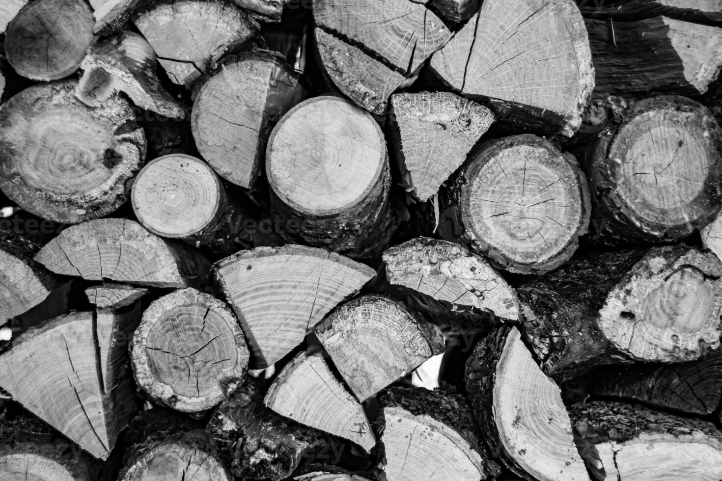 Fotografía sobre el tema de la gran pared de troncos de árboles de roble apilados en las grietas foto