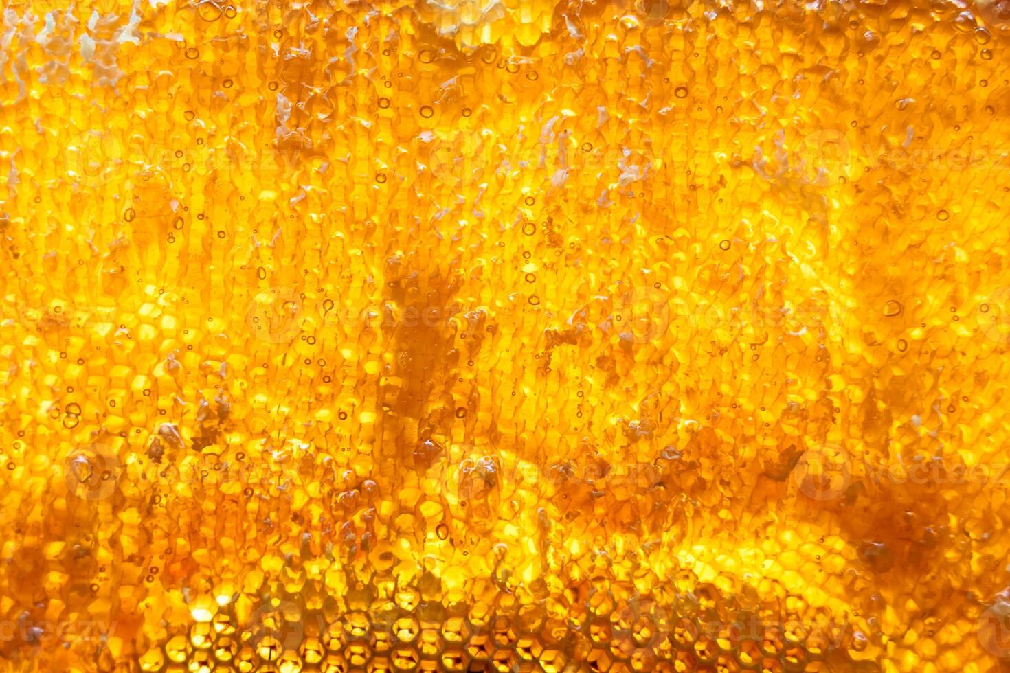 Drop of bee honey drip from hexagonal honeycombs filled with golden nectar photo