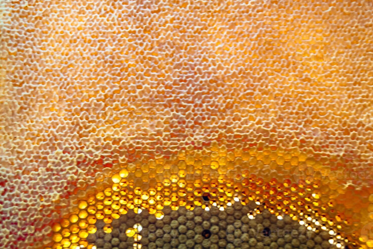 Drop of bee honey drip from hexagonal honeycombs filled with golden nectar photo