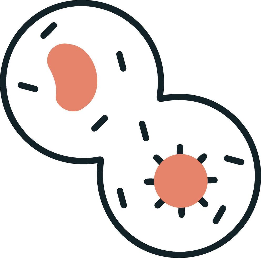 mitosis vector icono