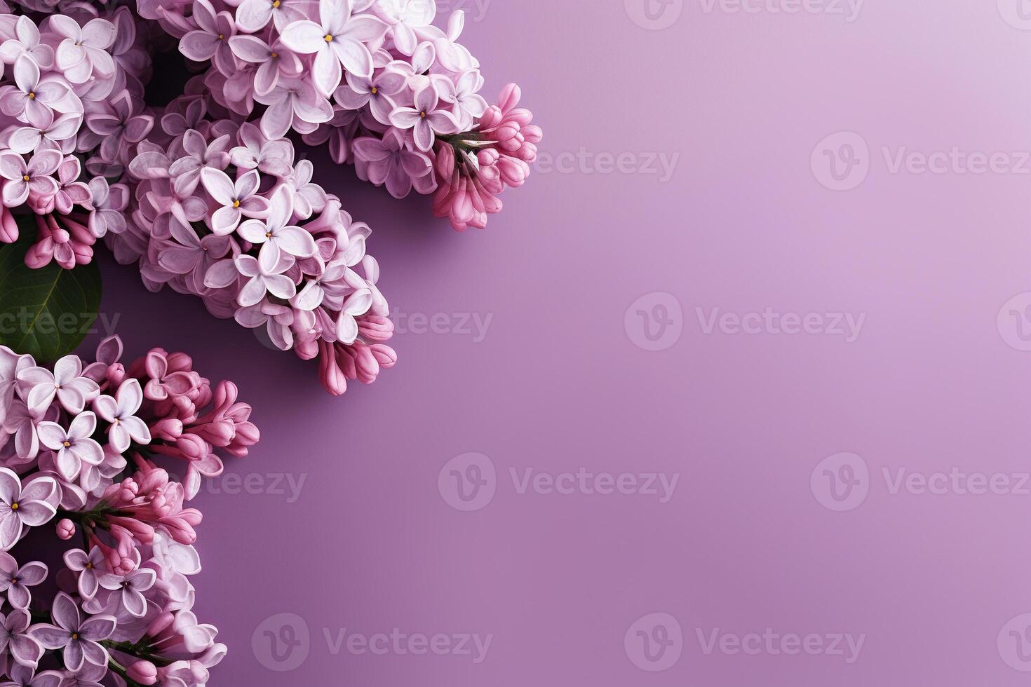 AI generated Spring background with a lilac branch on the left and space for text. Mother's Day, March 8, birthday. Generated by artificial intelligence photo