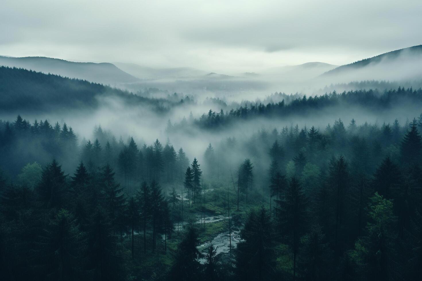 AI generated Top view of Normandy spruce forest in thick morning fog. Generated by artificial intelligence photo