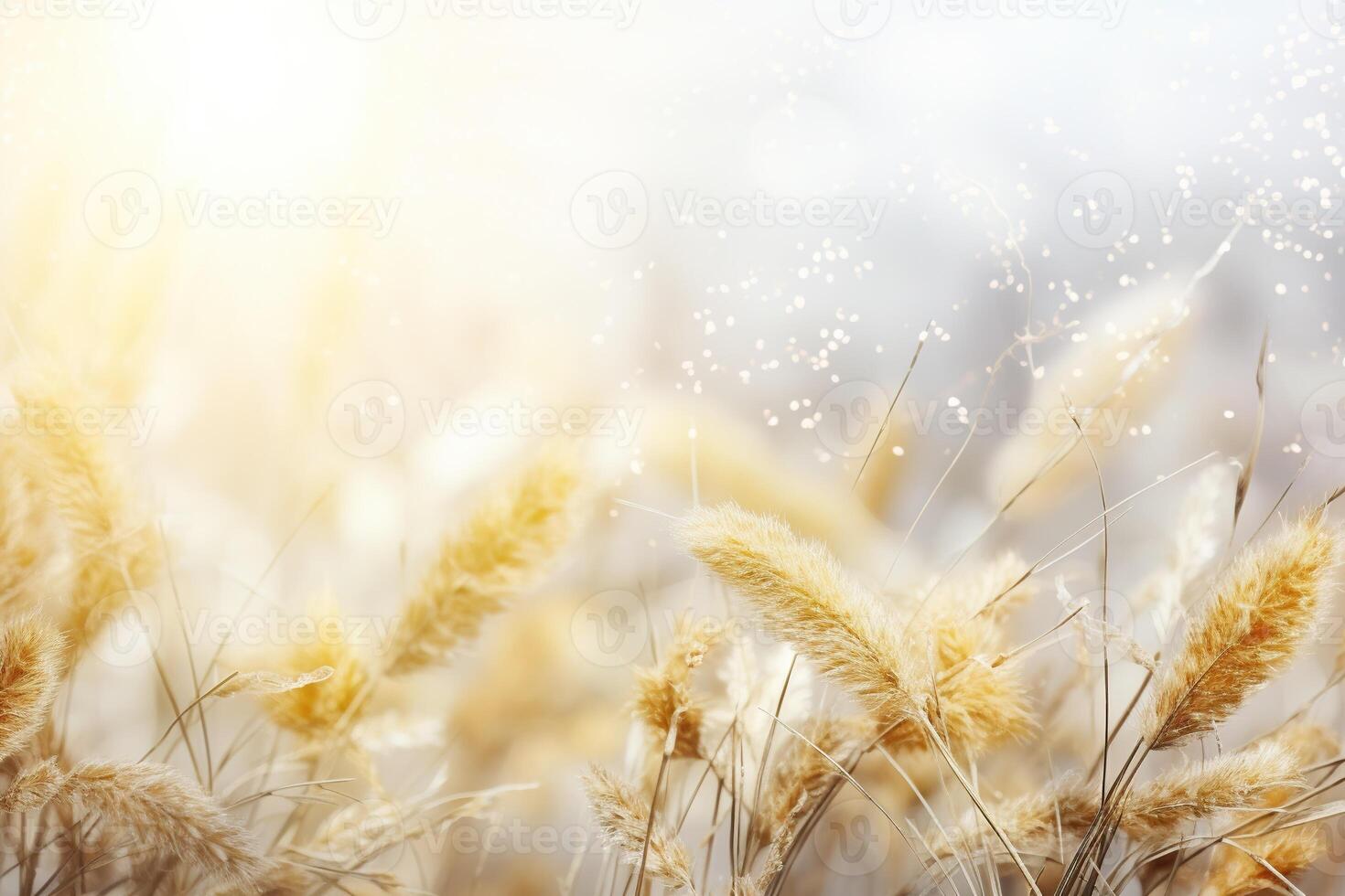 AI generated Abstract natural background with fluffy stems of tall grass on a bokeh background. Dry soft grass. Generated by artificial intelligence photo