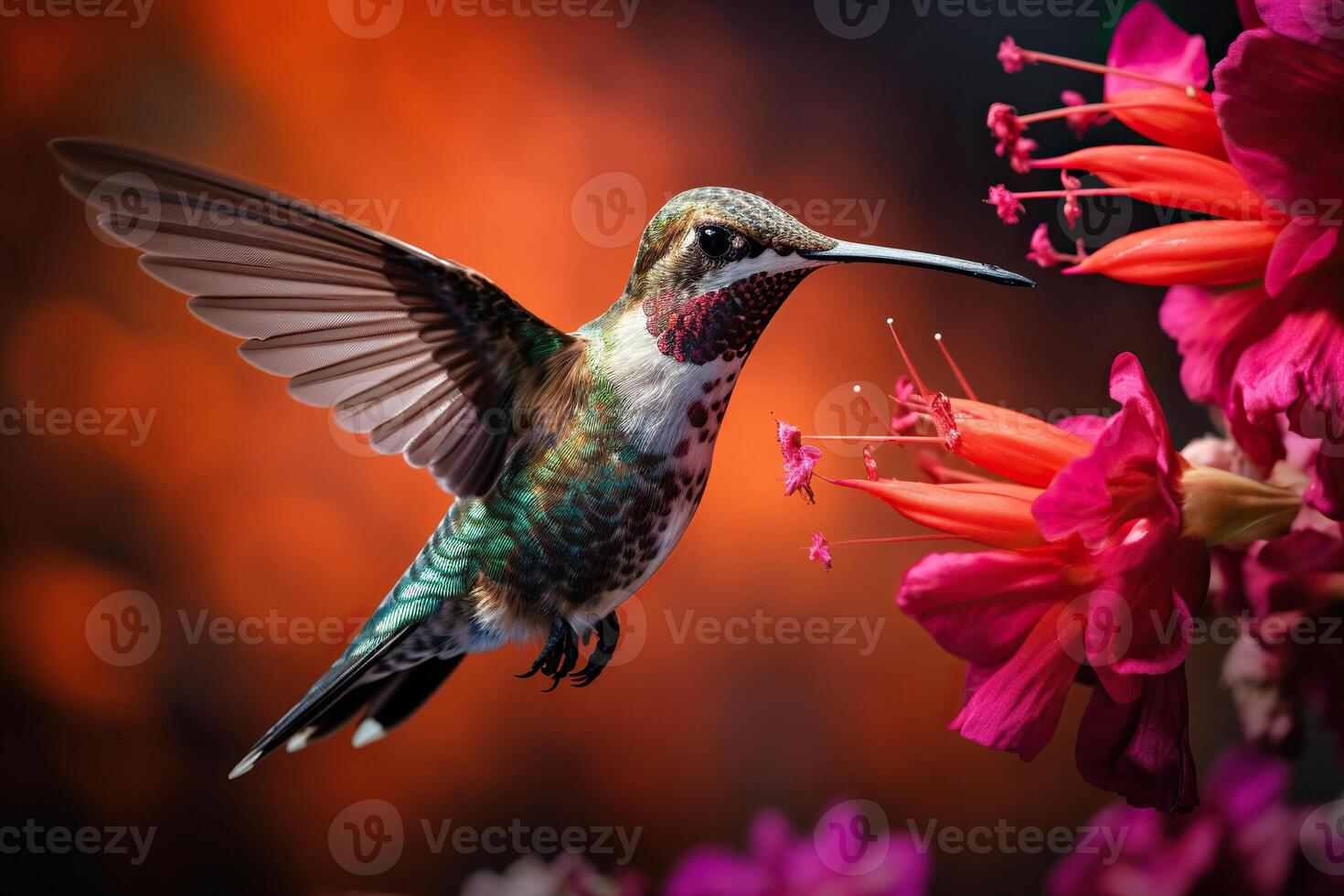 AI generated The hummingbird bird drinks nectar from flowers. Generated by artificial intelligence photo