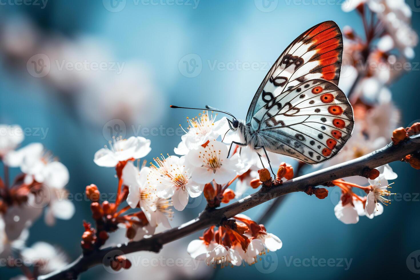AI generated Close-up of a butterfly sitting on a cherry blossom branch. Generated by artificial intelligence photo