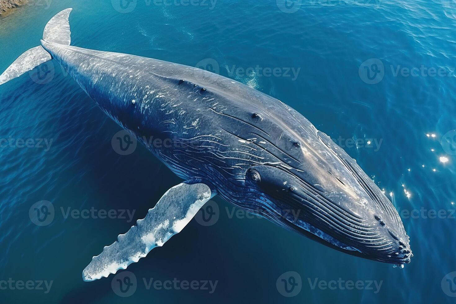 AI generated A humpback whale jumped above the water. Generated by artificial intelligence photo
