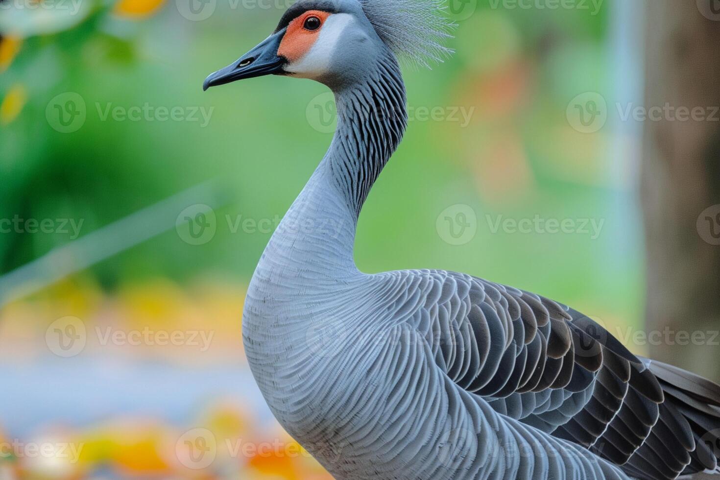 AI generated Graceful blue goose stands proudly with stunning plumage on display photo
