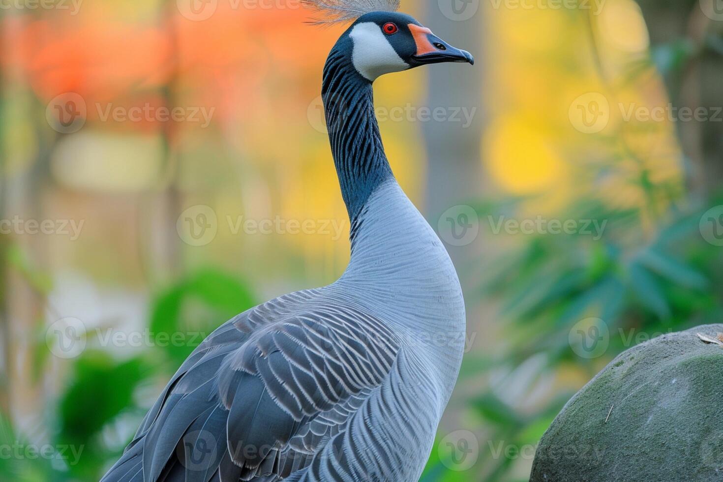 AI generated Graceful blue goose stands proudly with stunning plumage on display photo
