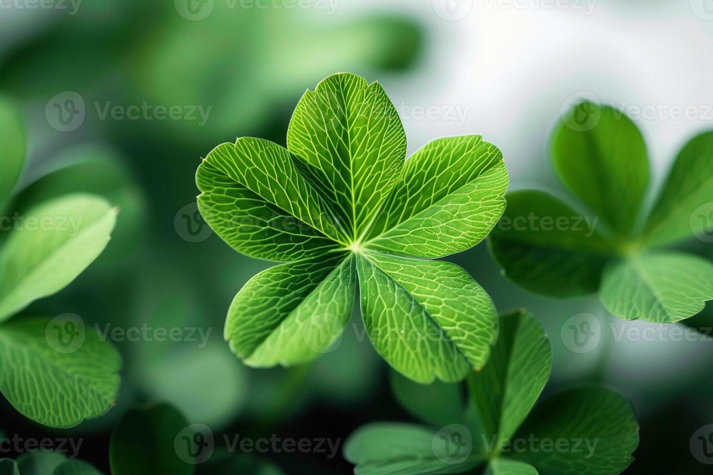 AI generated The freshness of nature reflected in the vibrant green plant photo