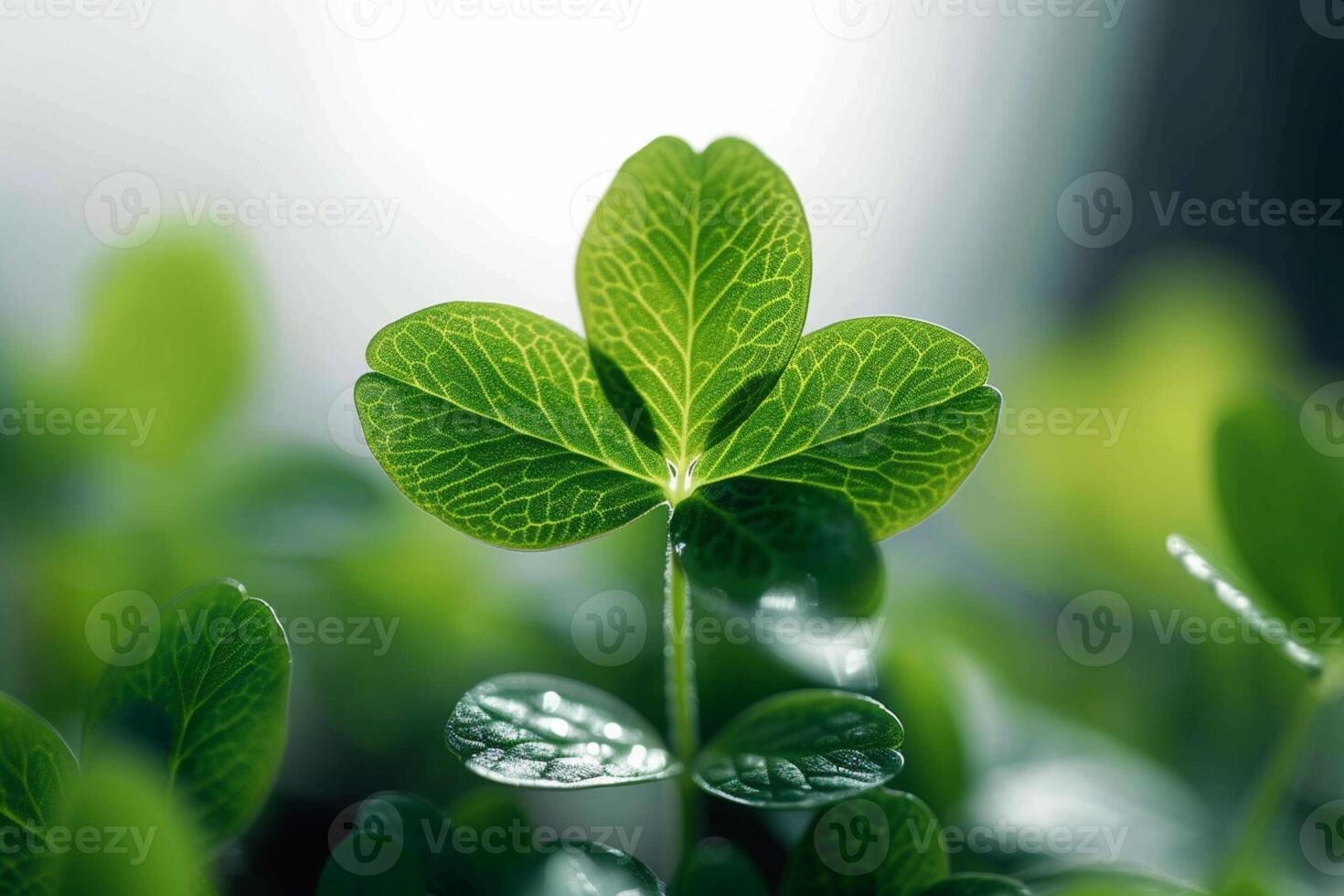 AI generated Natures freshness showcased through vibrant green plant growth photo