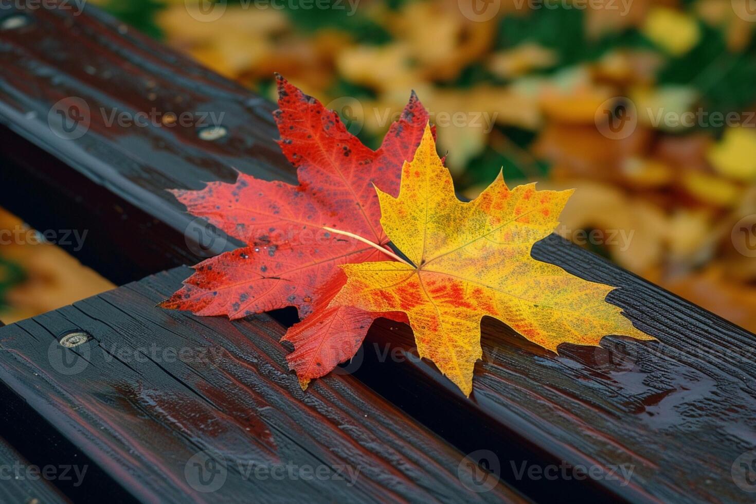 AI generated Maple leaf delicately rests on a warm brown wooden bench photo
