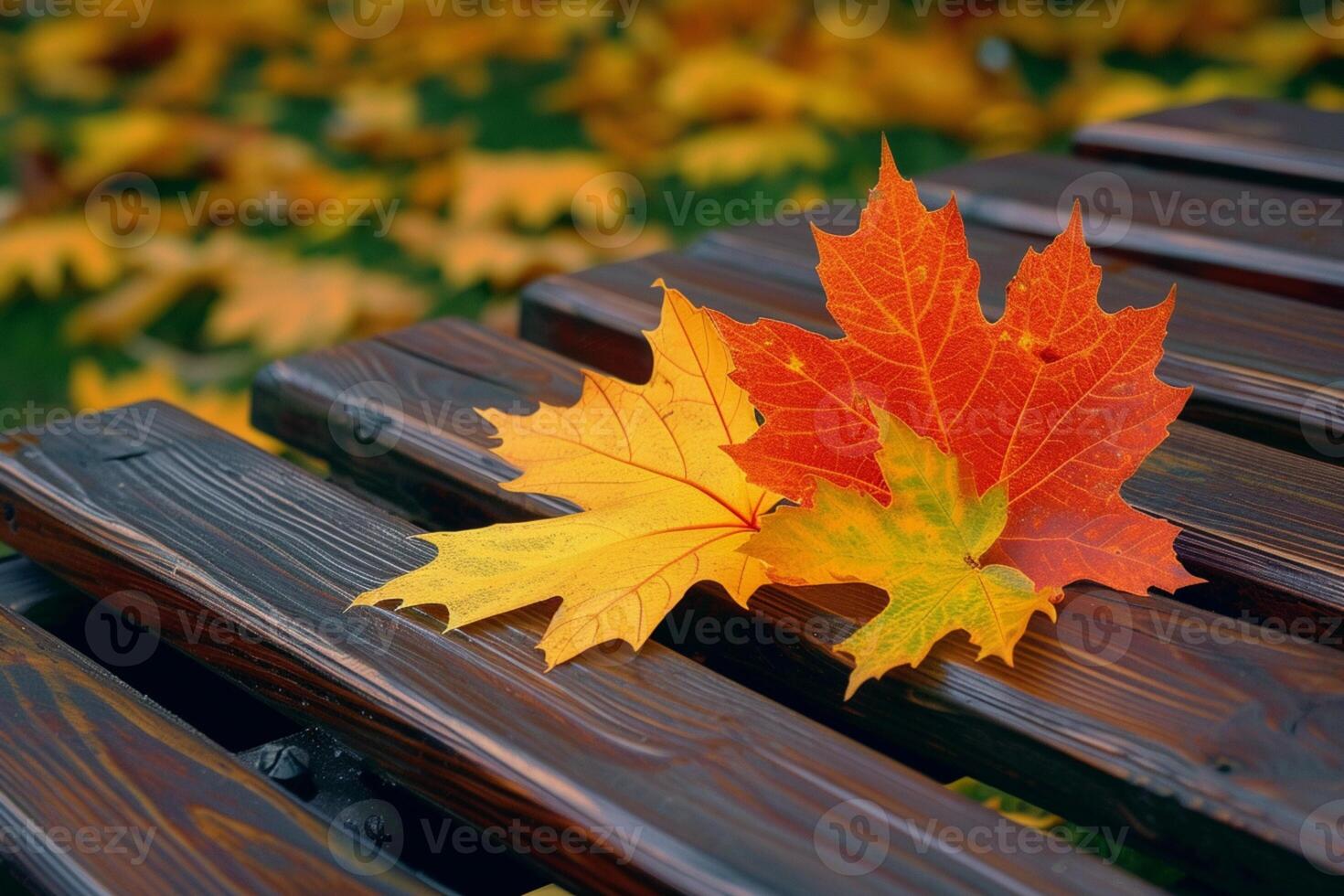 AI generated Maple leaf delicately rests on a warm brown wooden bench photo