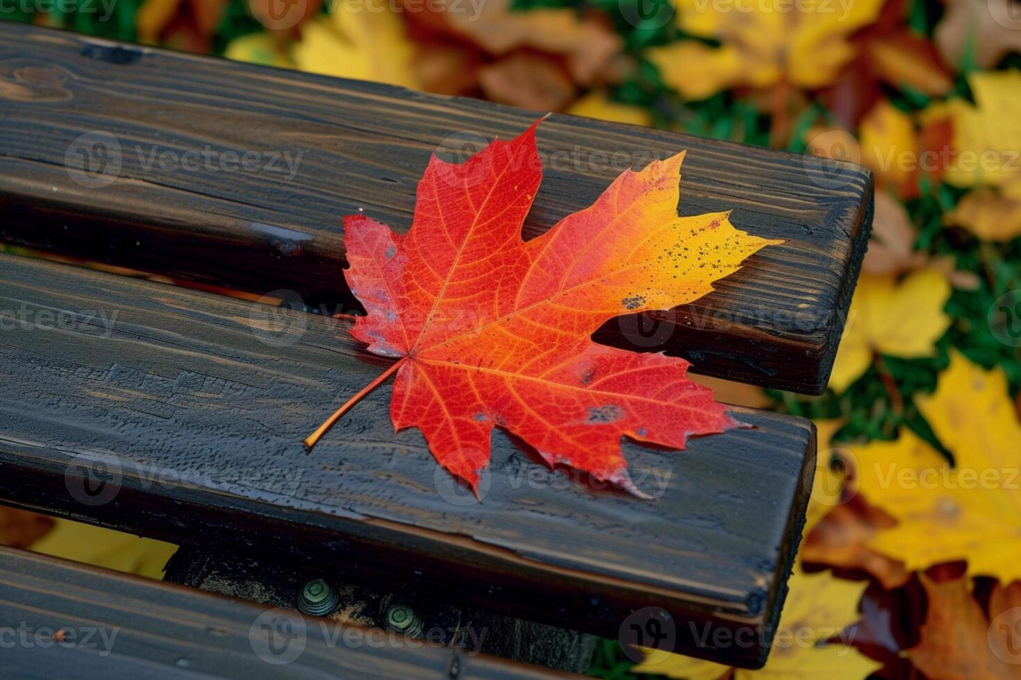 AI generated Autumnal charm a solitary maple leaf adorns a wooden bench photo