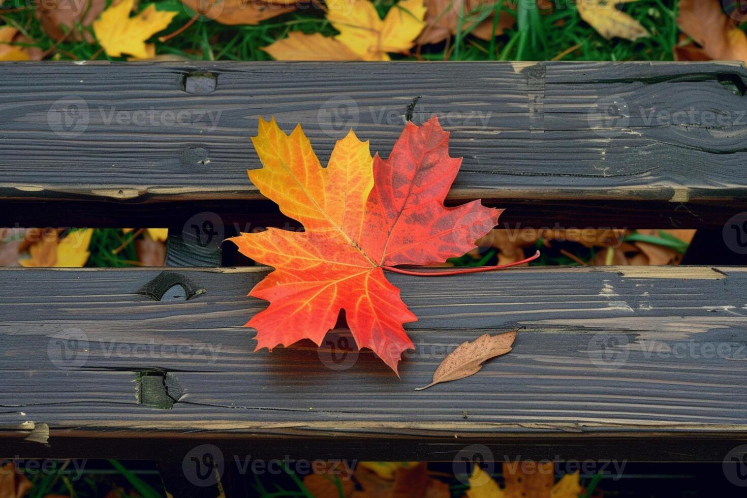 AI generated Rustic elegance captured as a maple leaf graces a wooden bench photo