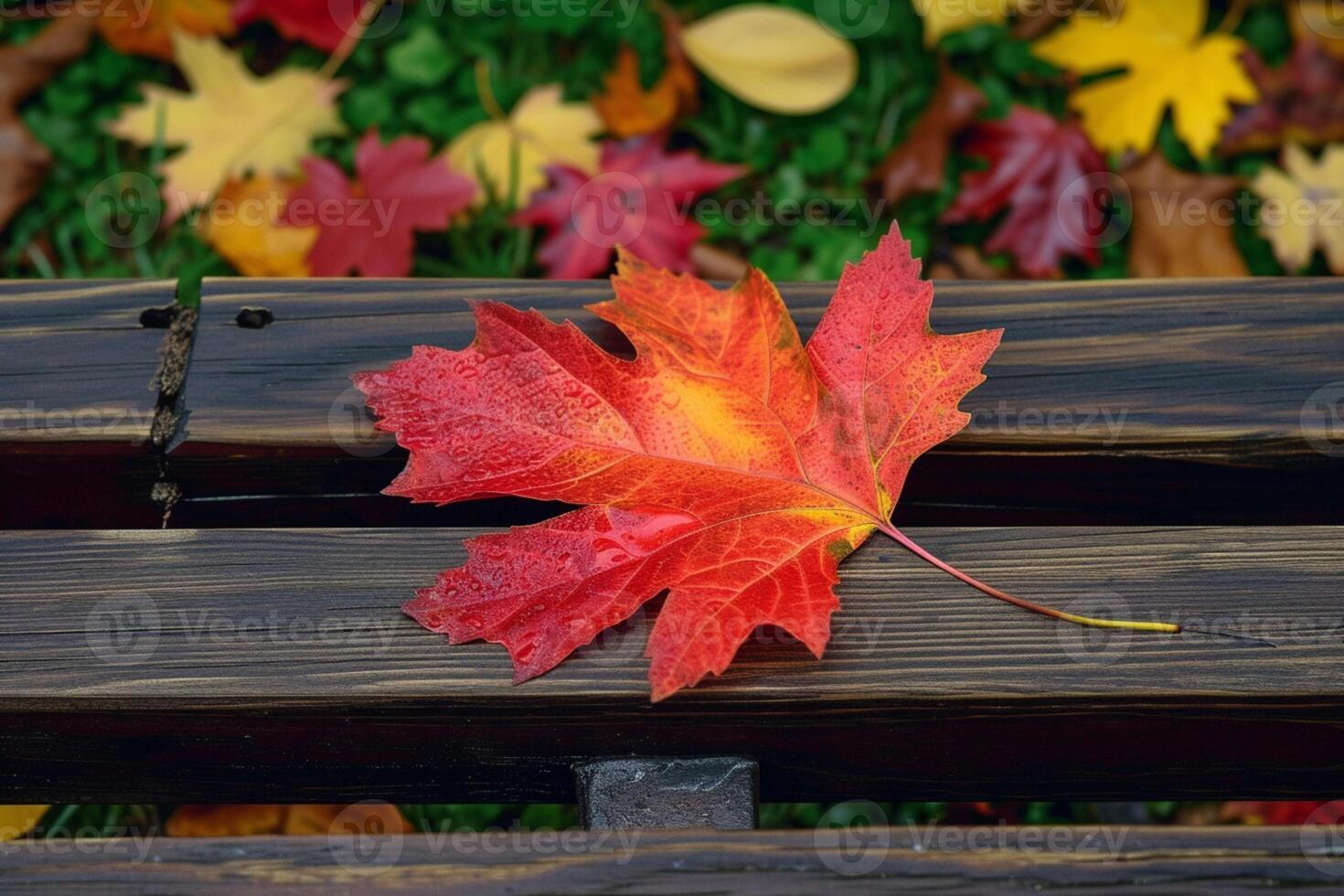 AI generated Rustic elegance captured as a maple leaf graces a wooden bench photo