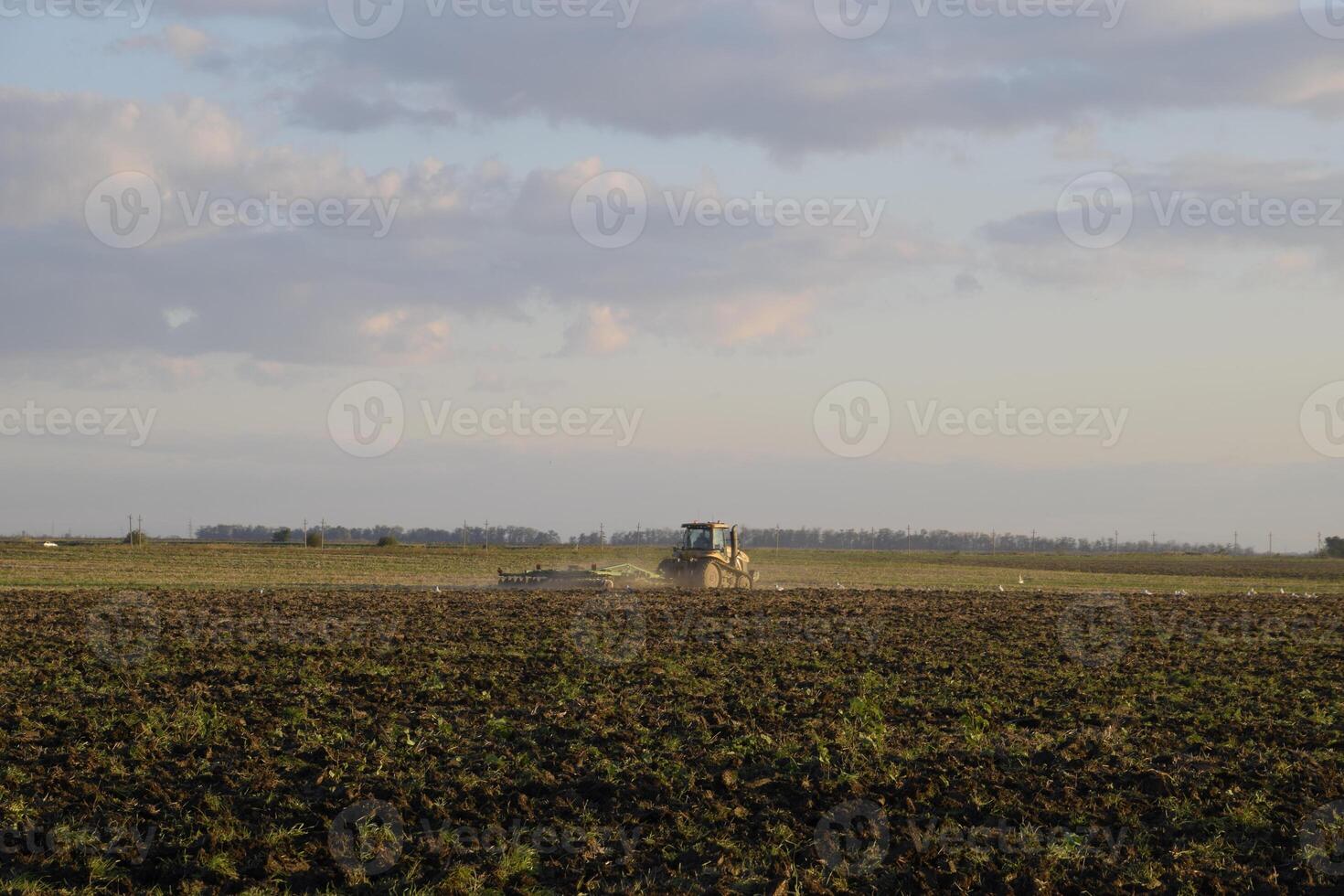 Tractor plowing plow the field. Tilling the soil in the fall after harvest. The end of the season photo